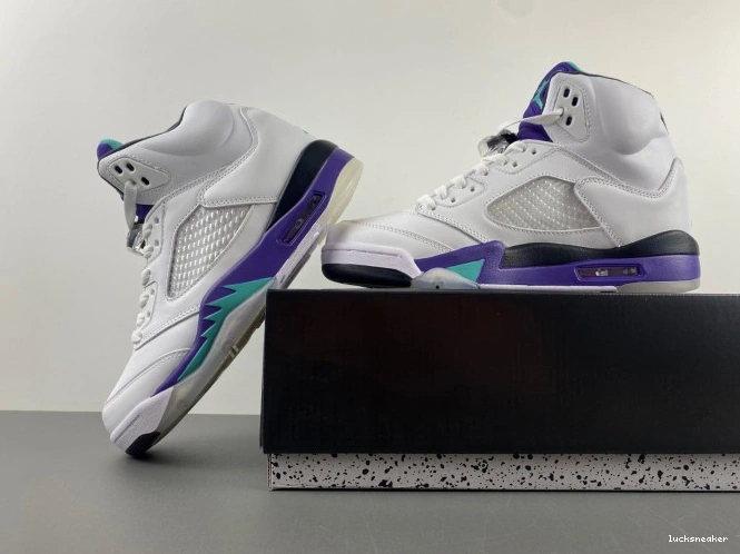 Rep LUCY (2013) Grape 5 Jordan Retro 136027-108 Air 0629